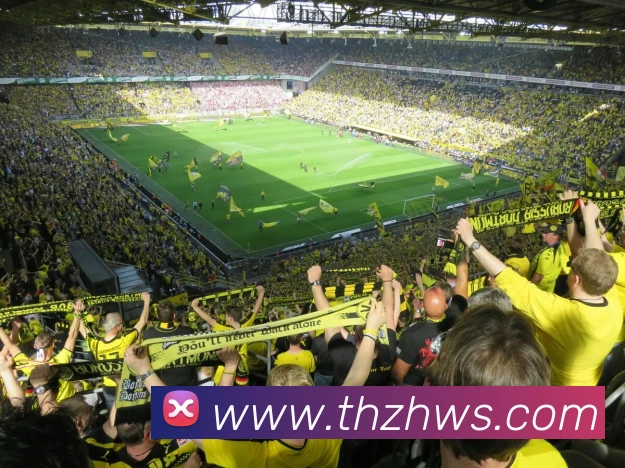 电竞数据
