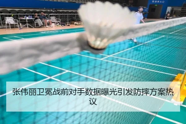 张伟丽卫冕战前对手数据曝光引发防摔方案热议